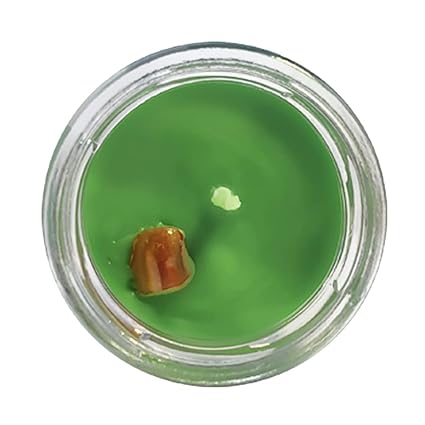 Money magnet candle | Reiki energized | Aromatherapy | mini