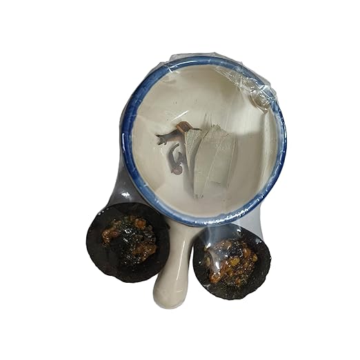 Grah Suddhi – Protection Kit | 5 Products