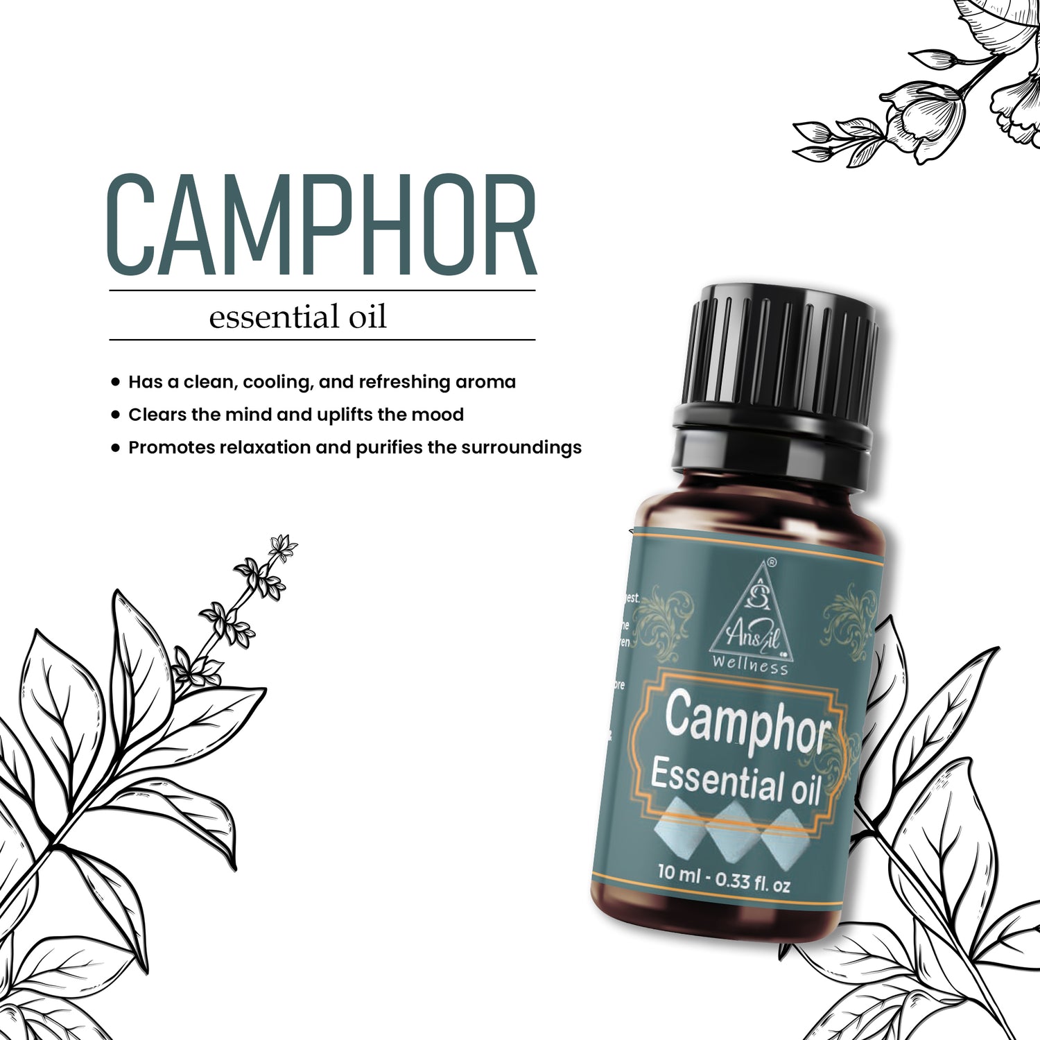 Camphor essential oil