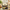 Grah Suddhi – Home Protection Kit | 5 Products
