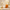 Divine Glow Kojic Soap 100g