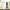 Green Tara Spray | Reiki Energized | Aromatherapy (120ml)